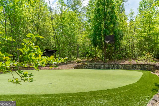 1 Burton Island, Tiger, GA 30576