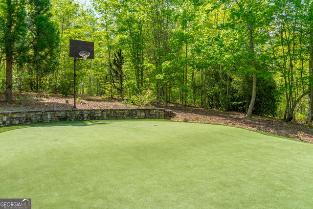 1 Burton Island, Tiger, GA 30576