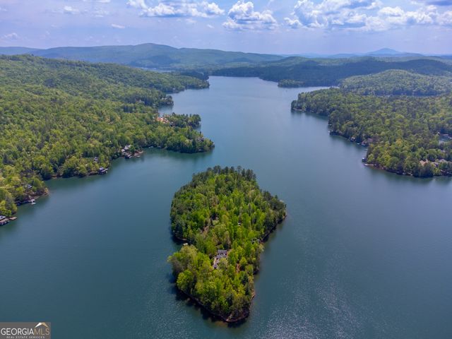 1 Burton Island, Tiger, GA 30576