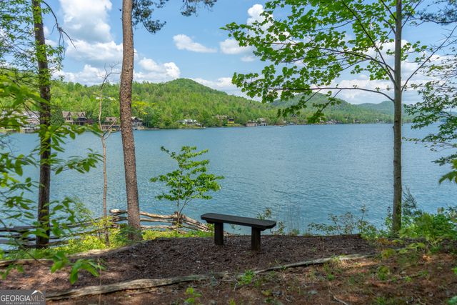 1 Burton Island, Tiger, GA 30576