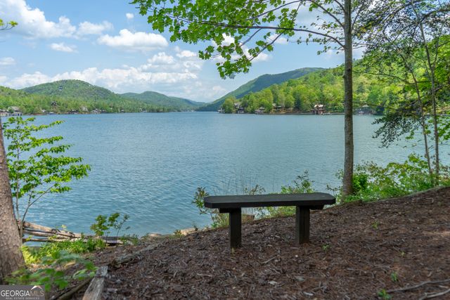 1 Burton Island, Tiger, GA 30576