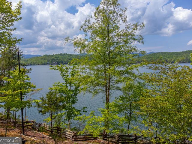 1 Burton Island, Tiger, GA 30576