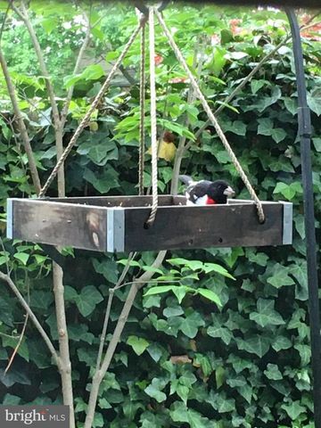 136 W POMFRET ST, Carlisle, PA 17013