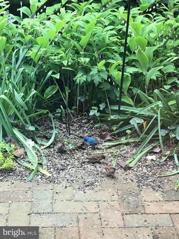 136 W POMFRET ST, Carlisle, PA 17013