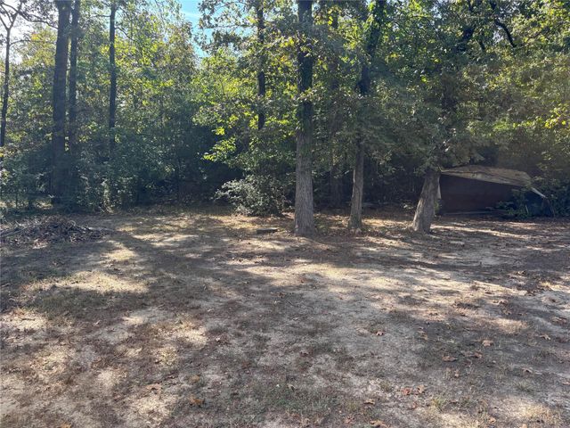 1311 Big Hawg Drive, Trinity, TX 75862