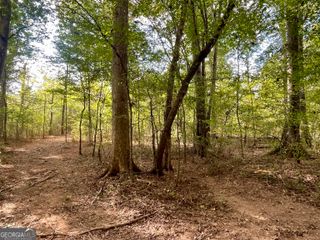 0 Buffalo Creek Road, Carrollton, GA 30117