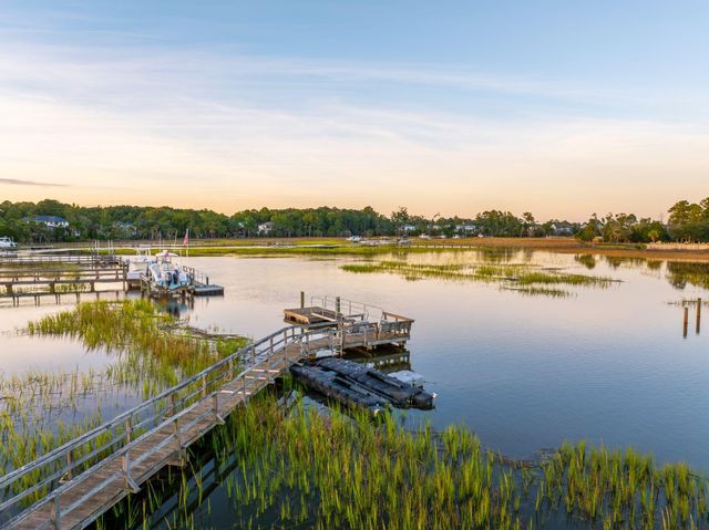 2384 Darts Cove Way, Mount Pleasant, SC 29466