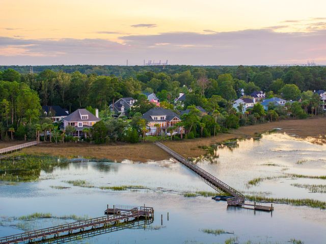 2384 Darts Cove Way, Mount Pleasant, SC 29466