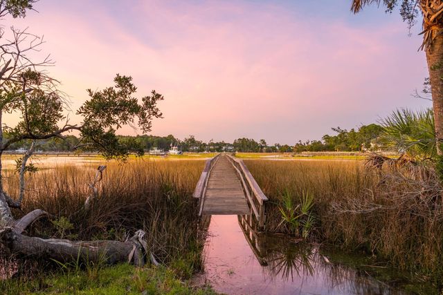 2384 Darts Cove Way, Mount Pleasant, SC 29466