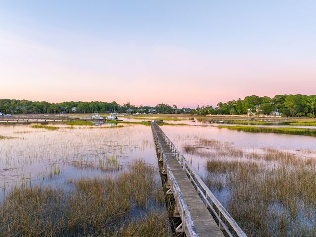 2384 Darts Cove Way, Mount Pleasant, SC 29466