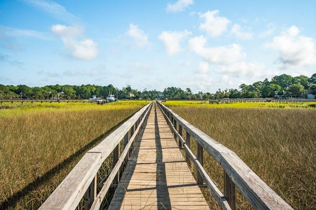 2384 Darts Cove Way, Mount Pleasant, SC 29466