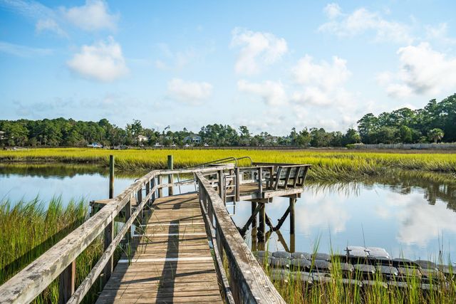 2384 Darts Cove Way, Mount Pleasant, SC 29466