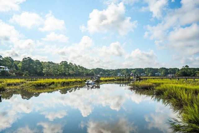 2384 Darts Cove Way, Mount Pleasant, SC 29466