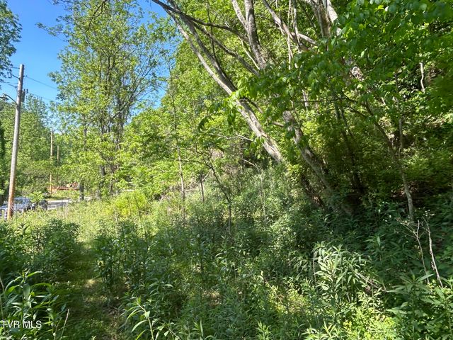 0 High Country Road 091145.00, Butler, TN 37640