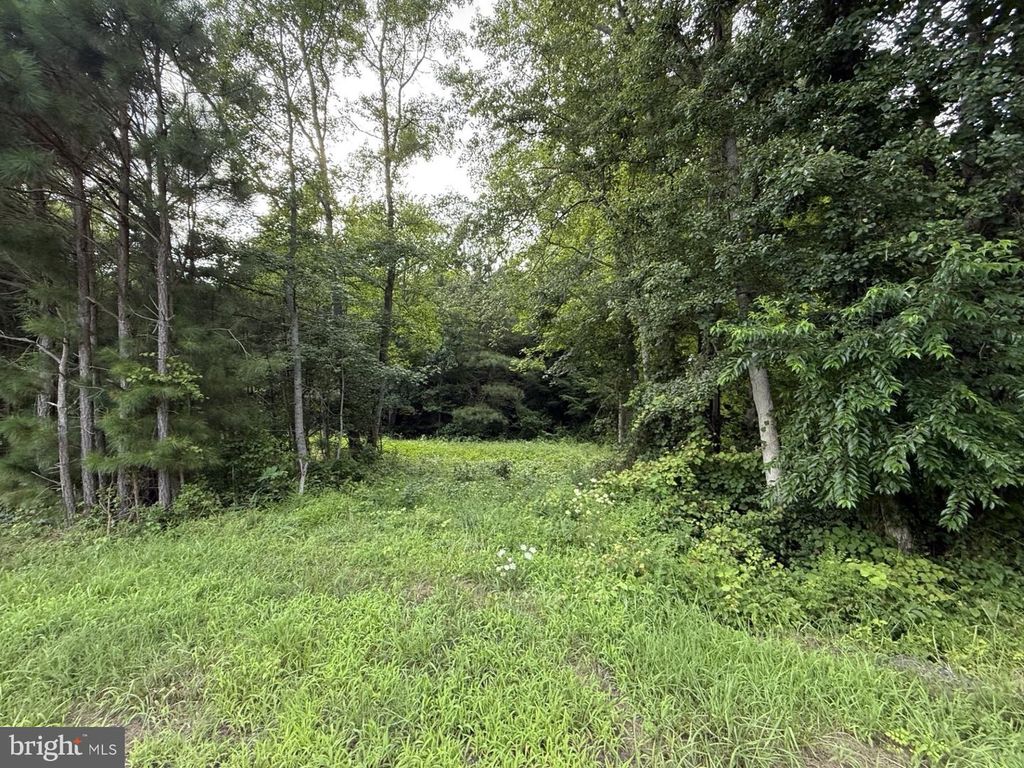 7613 ACORN RD, Newark, MD 21841