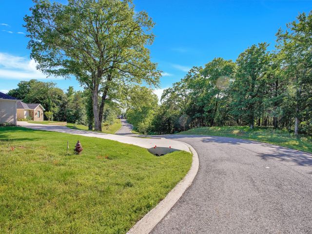 TBD Meridian Lane, Gordonville, TX 76245