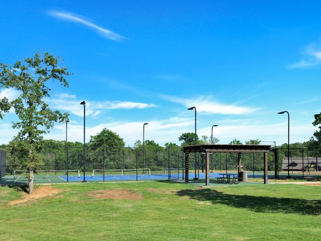 TBD Meridian Lane, Gordonville, TX 76245