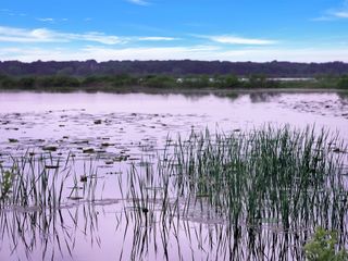 TBD Meridian Lane, Gordonville, TX 76245