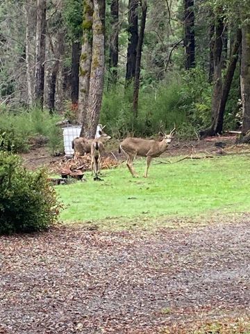 500 Wildberry Drive, Boulder Creek, CA 95006