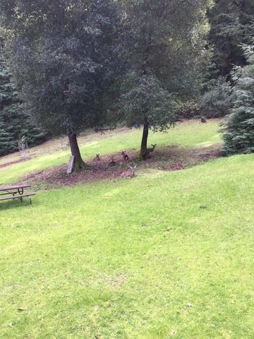 500 Wildberry Drive, Boulder Creek, CA 95006