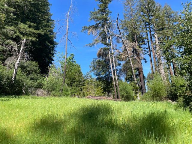 500 Wildberry Drive, Boulder Creek, CA 95006