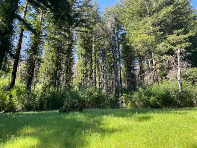 500 Wildberry Drive, Boulder Creek, CA 95006