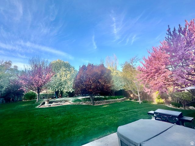 1884 TOWN AND COUNTRY RD, Springville, UT 84663