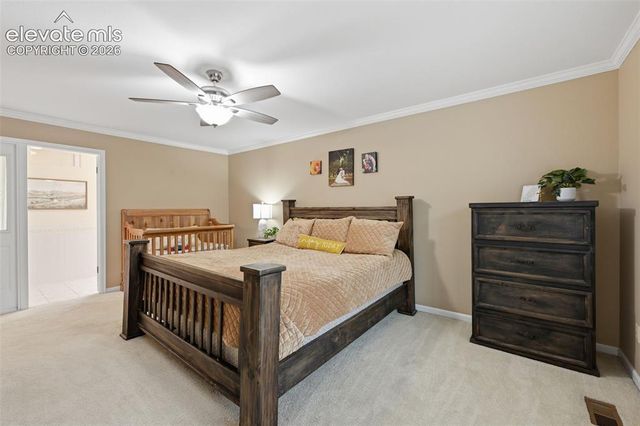 6914 Oak Valley Drive, Colorado Springs, CO 80919