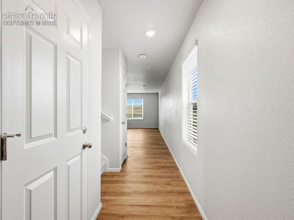 11445 Pikeminnow Place, Colorado Springs, CO 80925 — photo 2