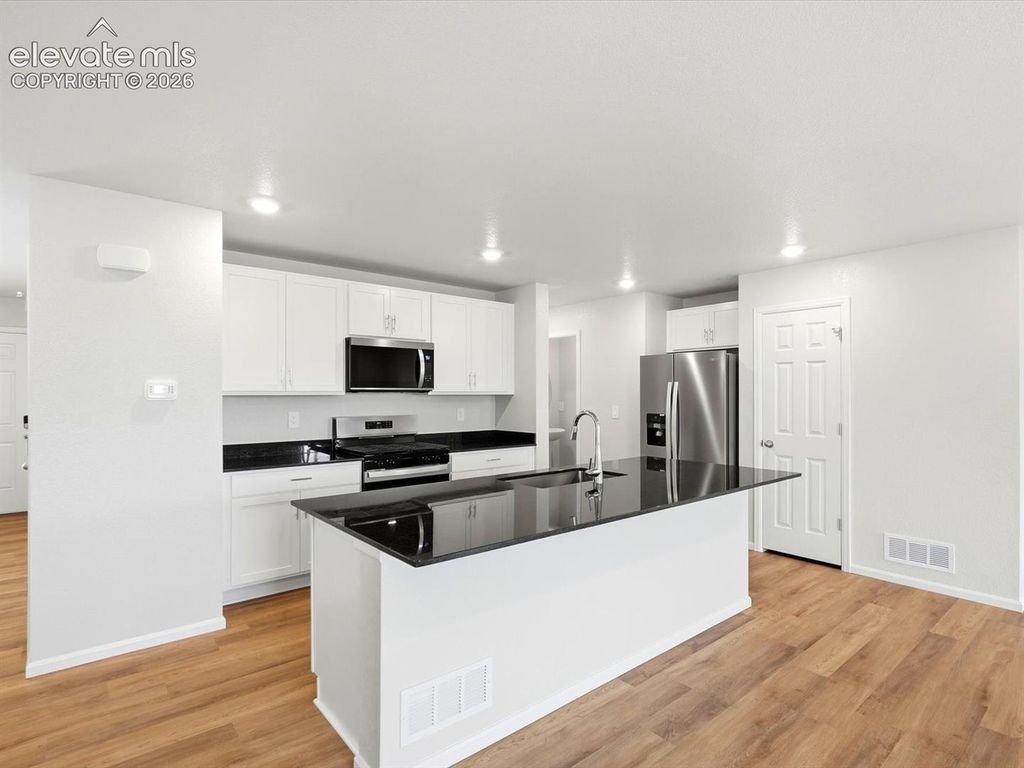 11445 Pikeminnow Place, Colorado Springs, CO 80925 — photo 3