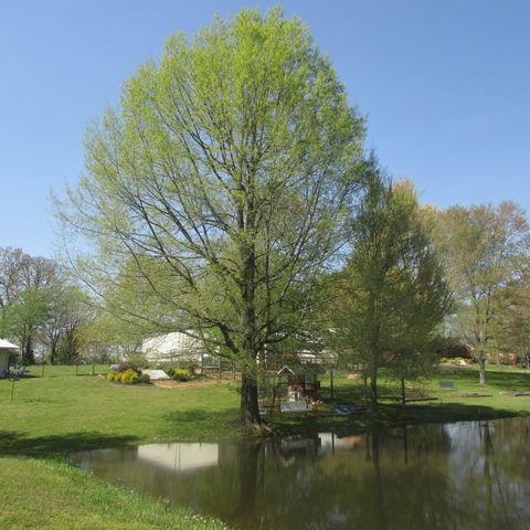 75 Snell Rd, Ethridge, TN 38456
