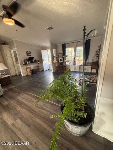 15594 NE 233rd Place, Fort Mccoy, FL 32134