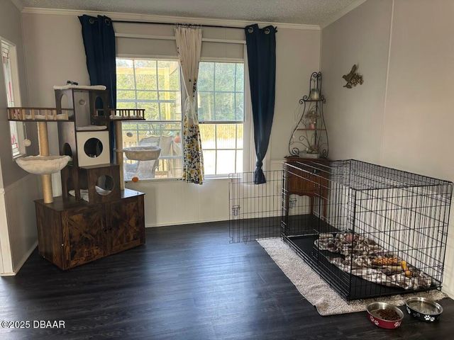 15594 NE 233rd Place, Fort Mccoy, FL 32134