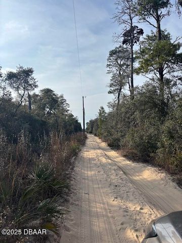 15594 NE 233rd Place, Fort Mccoy, FL 32134