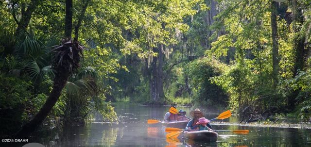 15594 NE 233rd Place, Fort Mccoy, FL 32134