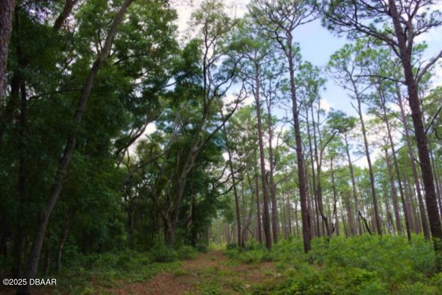 15594 NE 233rd Place, Fort Mccoy, FL 32134