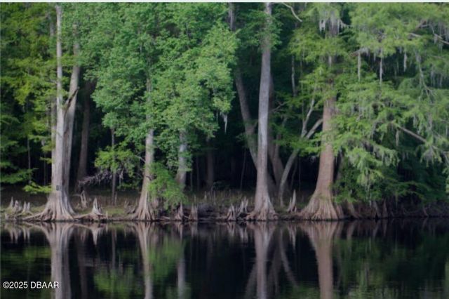 15594 NE 233rd Place, Fort Mccoy, FL 32134