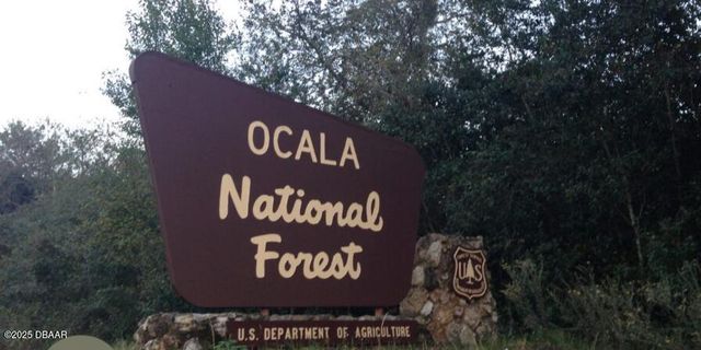 15594 NE 233rd Place, Fort Mccoy, FL 32134