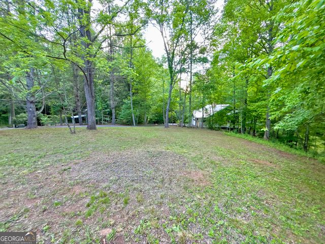 LT 5 Spiva Cove Road, Blairsville, GA 30512