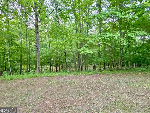 LT 5 Spiva Cove Road, Blairsville, GA 30512