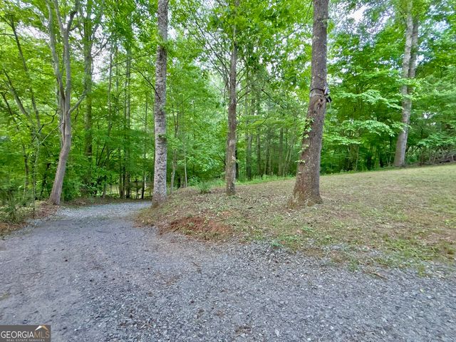 LT 5 Spiva Cove Road, Blairsville, GA 30512