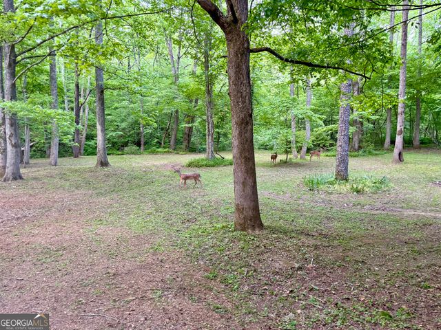 LT 5 Spiva Cove Road, Blairsville, GA 30512