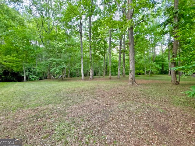 LT 5 Spiva Cove Road, Blairsville, GA 30512