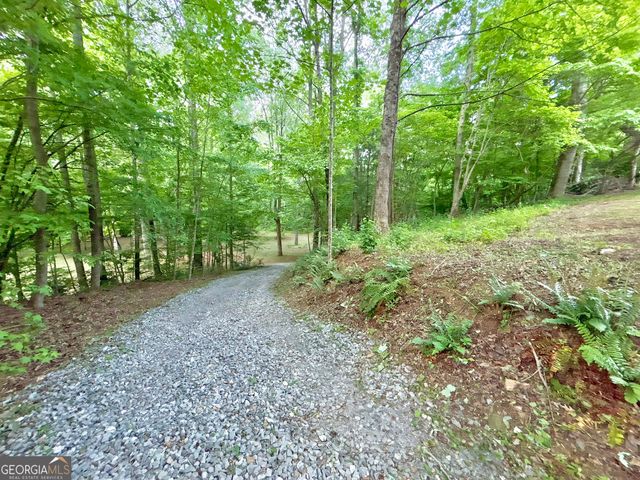 LT 5 Spiva Cove Road, Blairsville, GA 30512