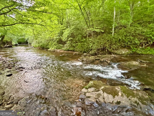 LT 5 Spiva Cove Road, Blairsville, GA 30512