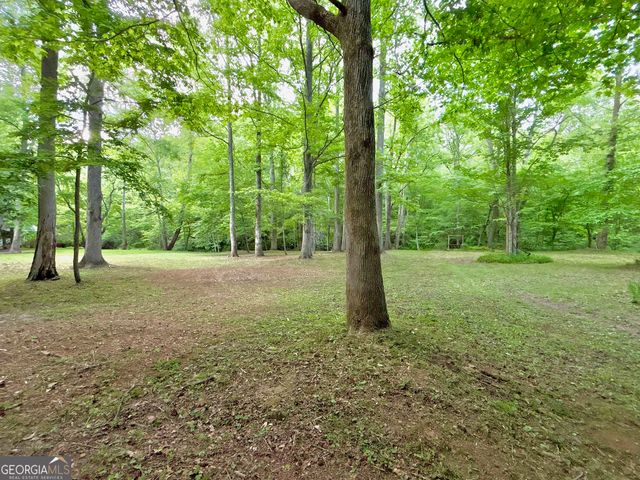 LT 5 Spiva Cove Road, Blairsville, GA 30512