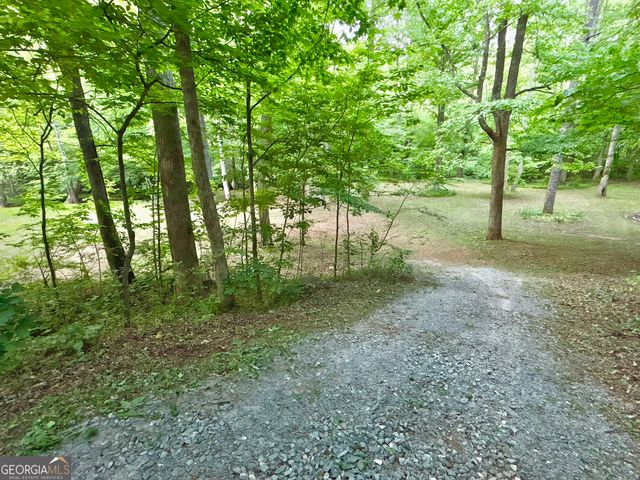LT 5 Spiva Cove Road, Blairsville, GA 30512