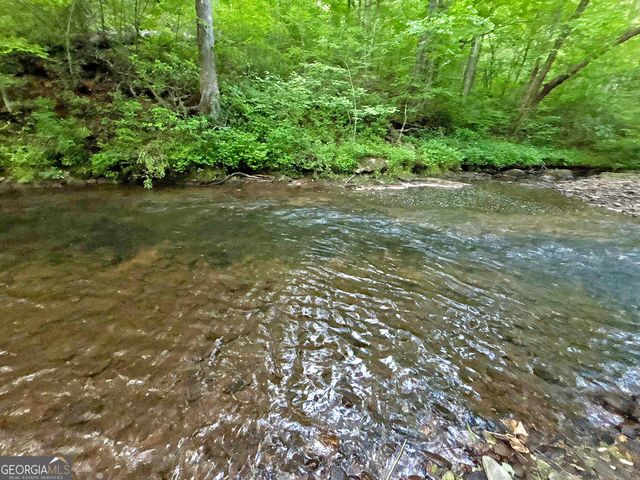 LT 5 Spiva Cove Road, Blairsville, GA 30512