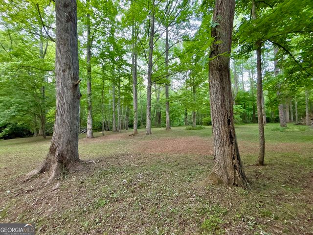 LT 5 Spiva Cove Road, Blairsville, GA 30512
