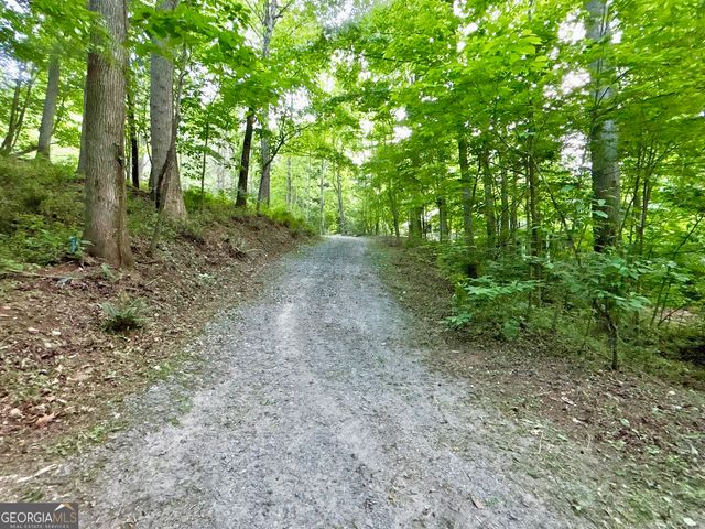 LT 5 Spiva Cove Road, Blairsville, GA 30512